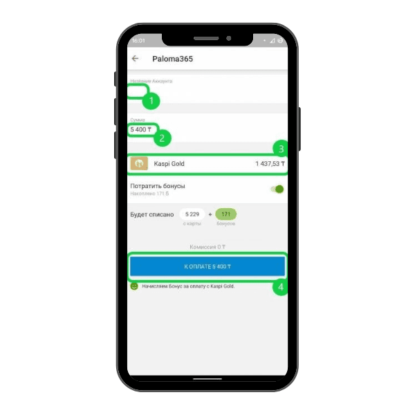 Kaspi.kz: Paloma365 төлем экраны — аккаунт, сома және «Төлеу» түймесі